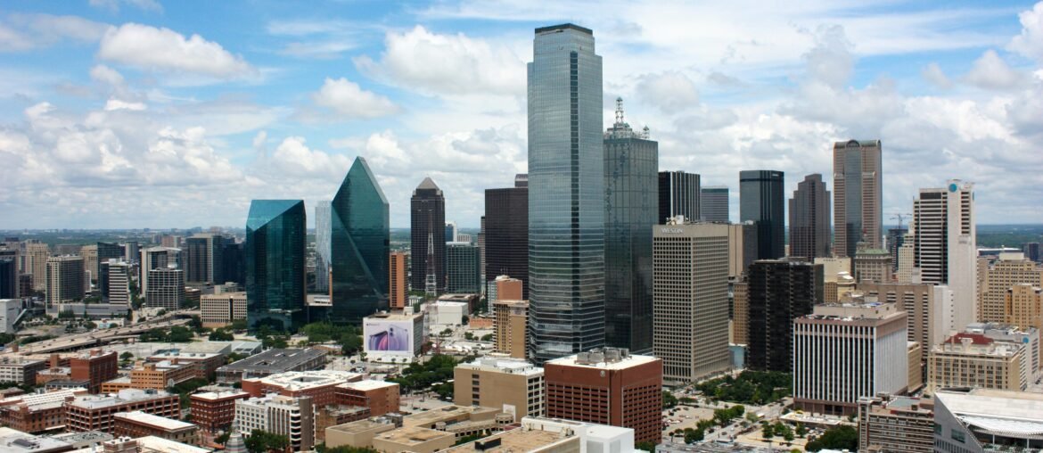 seo expert in dallas